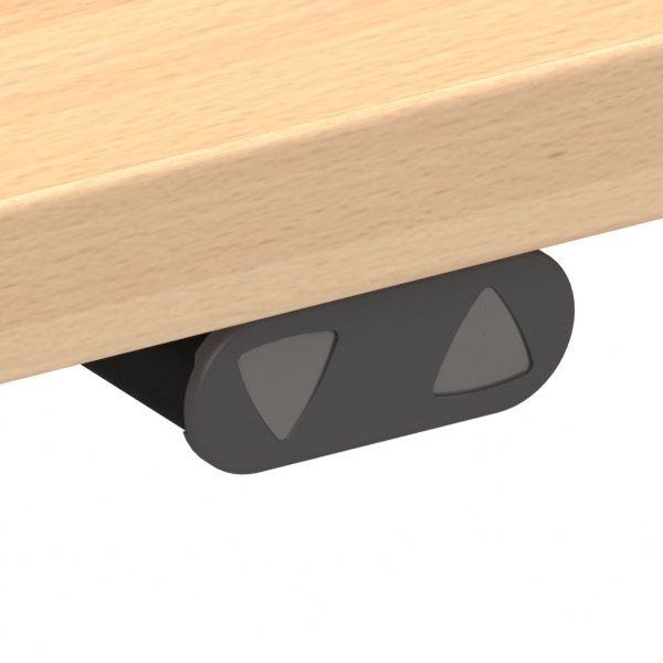 Electric Adjustable Desk | 100x60 cm | Beech with black frame