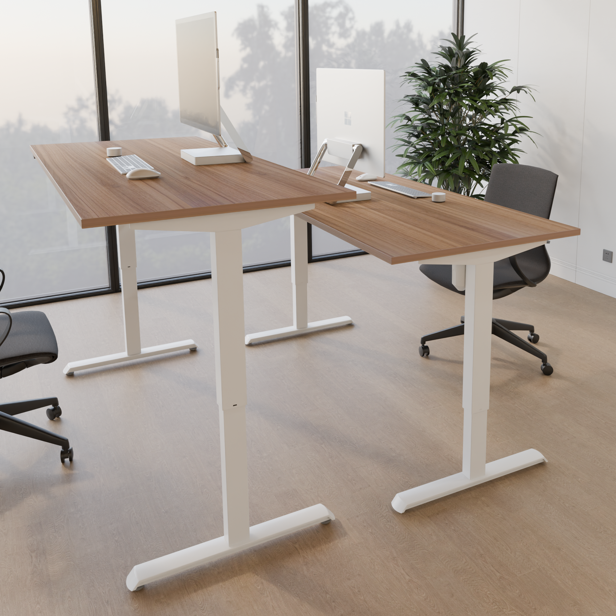 Electric Adjustable Desk | 100x80 cm | Walnut with white frame